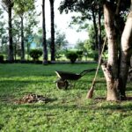 Gardener 10