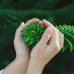 Gardener 24