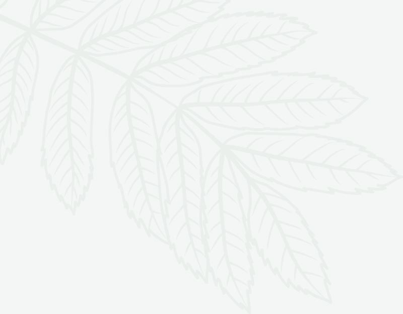 gardener shape 01