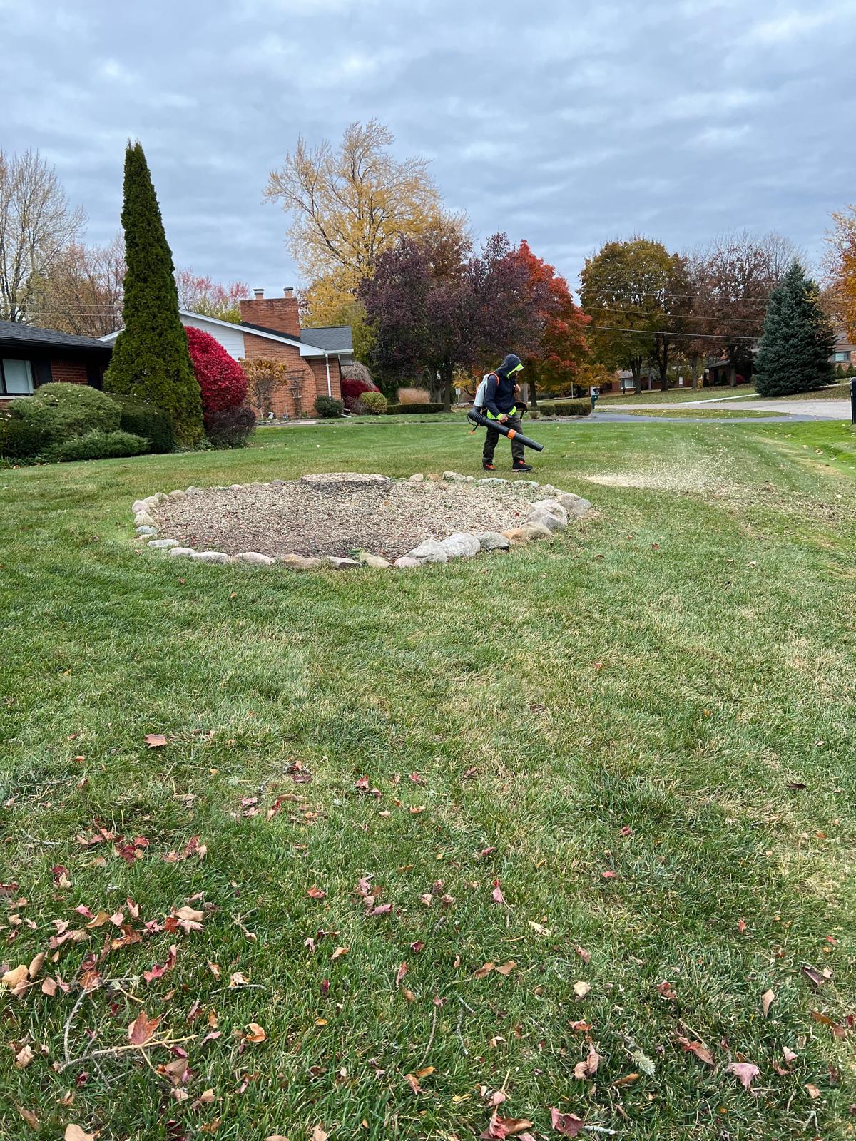Tree service professional blowing leaves off