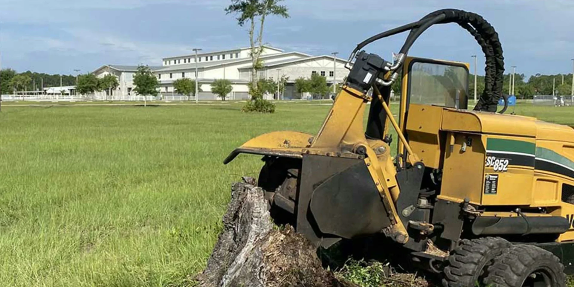 stump grinding