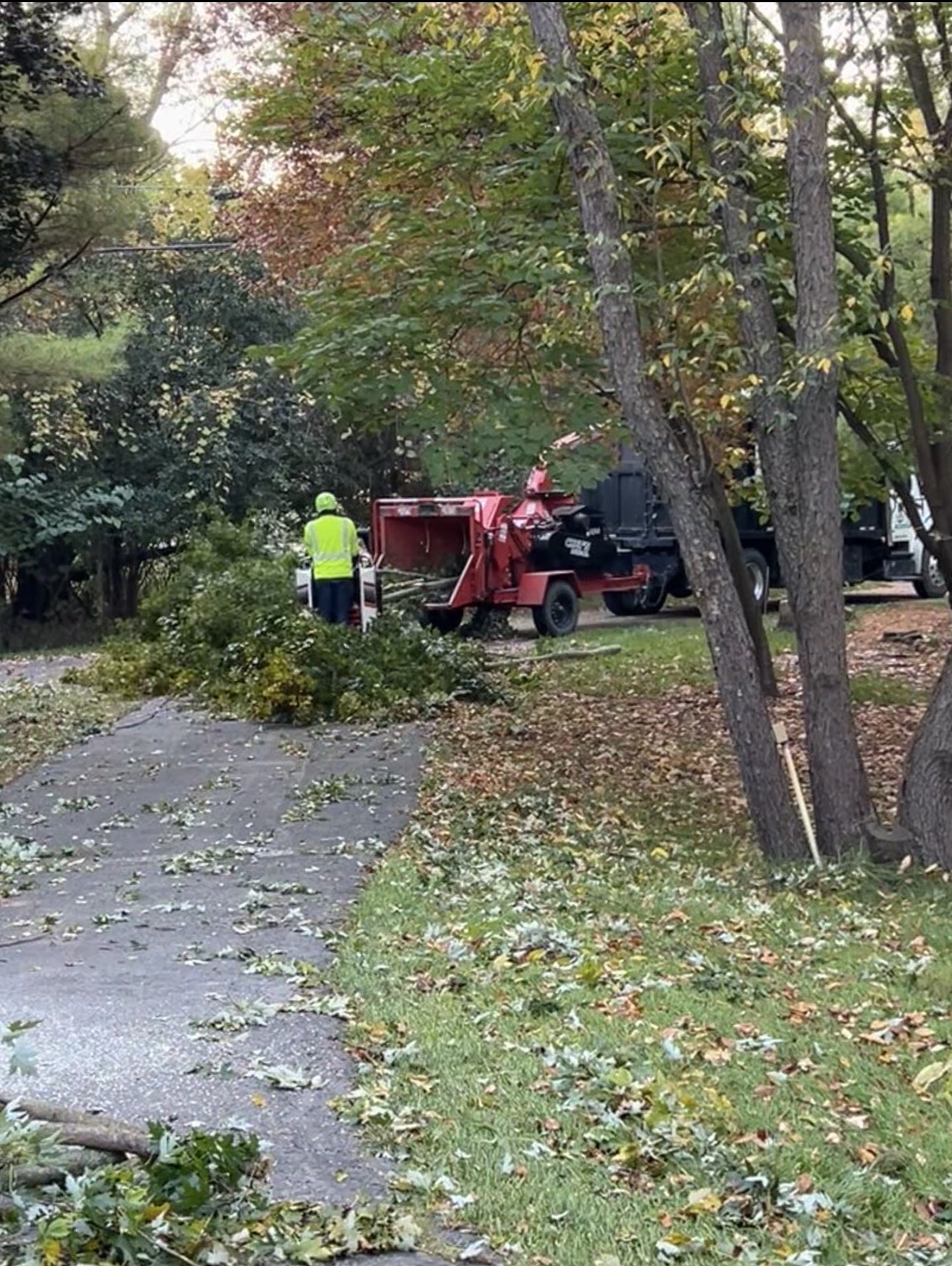 Tree service crew using a wood chipper to clear branches during professional tree removal at residential property in Ann Arbor, Michigan.