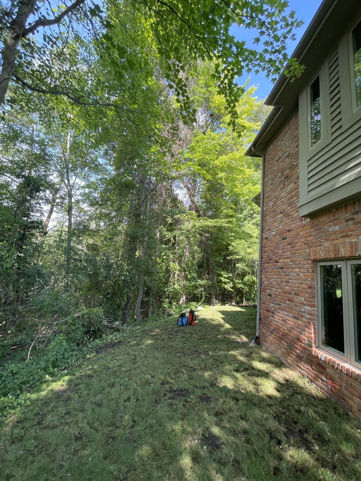 After hazardous tree removal near residential home, improving safety and creating a clean and open landscape in Novi, Michigan