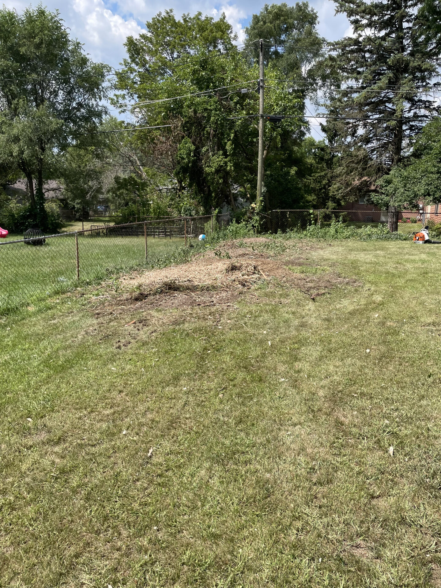 Backyard in Ann Arbor, Michigan after professional tree removal and stump grinding, leaving a clean, level lawn with no visible stumps