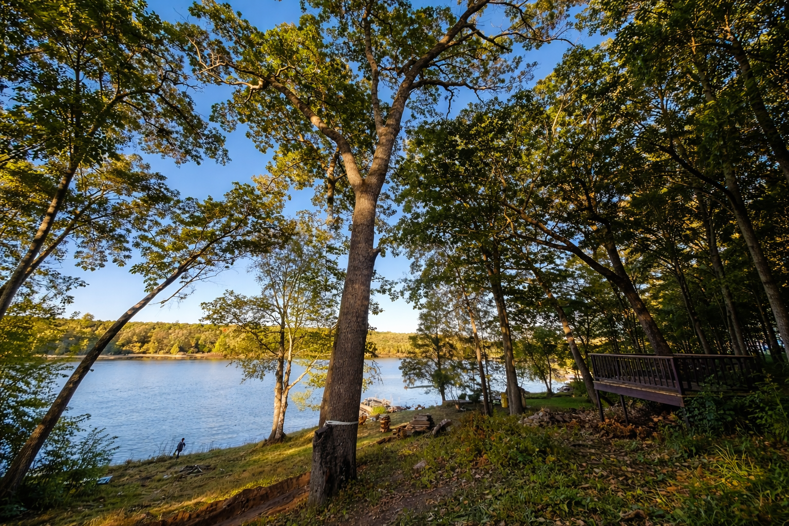 Tree Services in West Bloomfield Township, MI