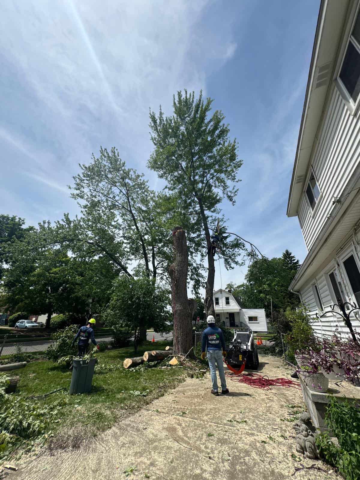 Two workers wearing helmets provide Tree Services Oakland, cutting a tall tree near a white house under blue sky.