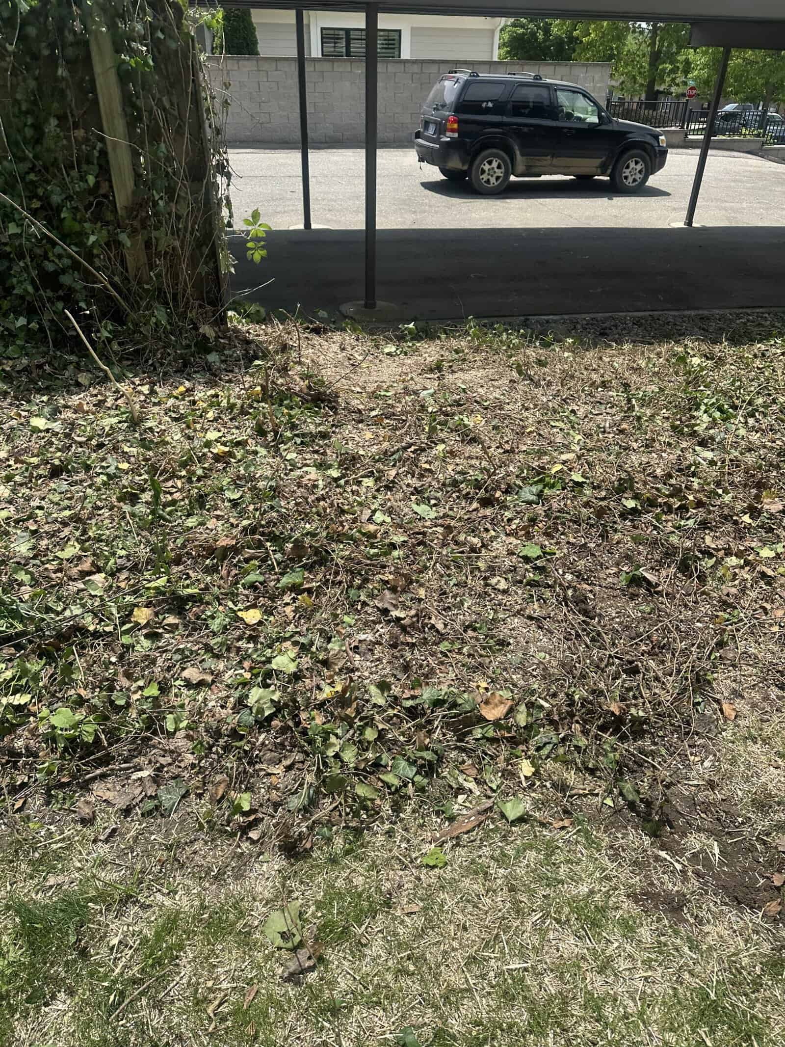 Patchy, sunlit ground with leaves and weeds near a carport and black SUV suggests stump grinding Oakland.
