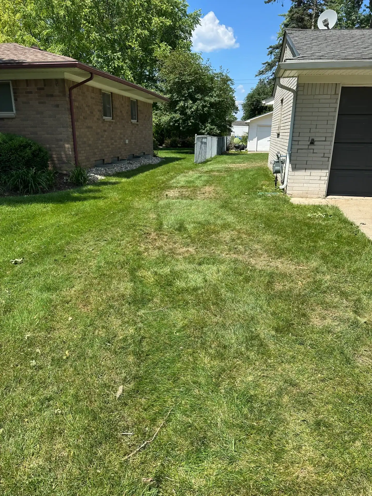 A grassy side yard between two houses on a sunny day features a wooden fence and stump grinding Oakland, MI.