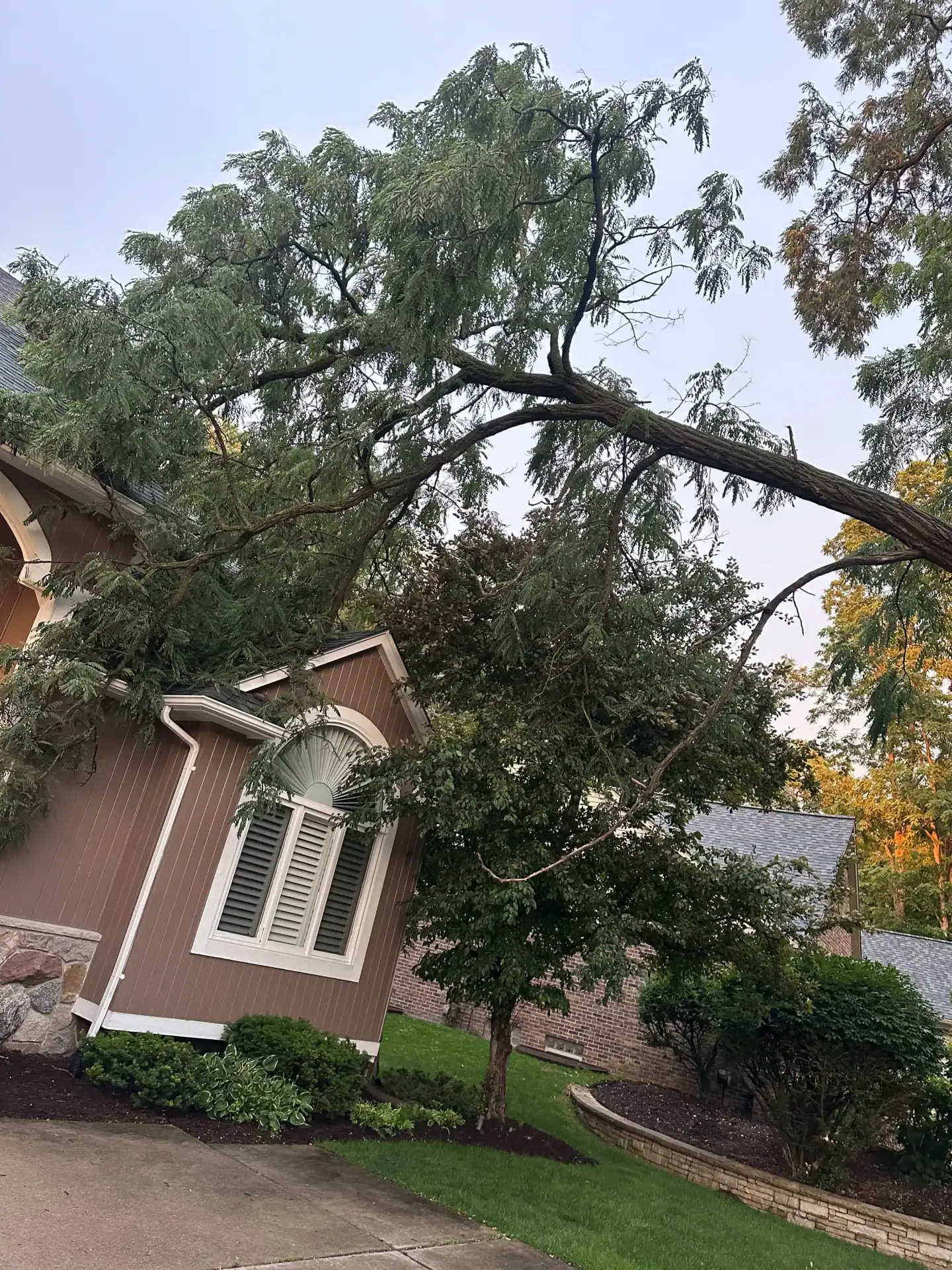 A large tree branch leans on a roof, covering windows and the front yard in need of tree removal Oakland.