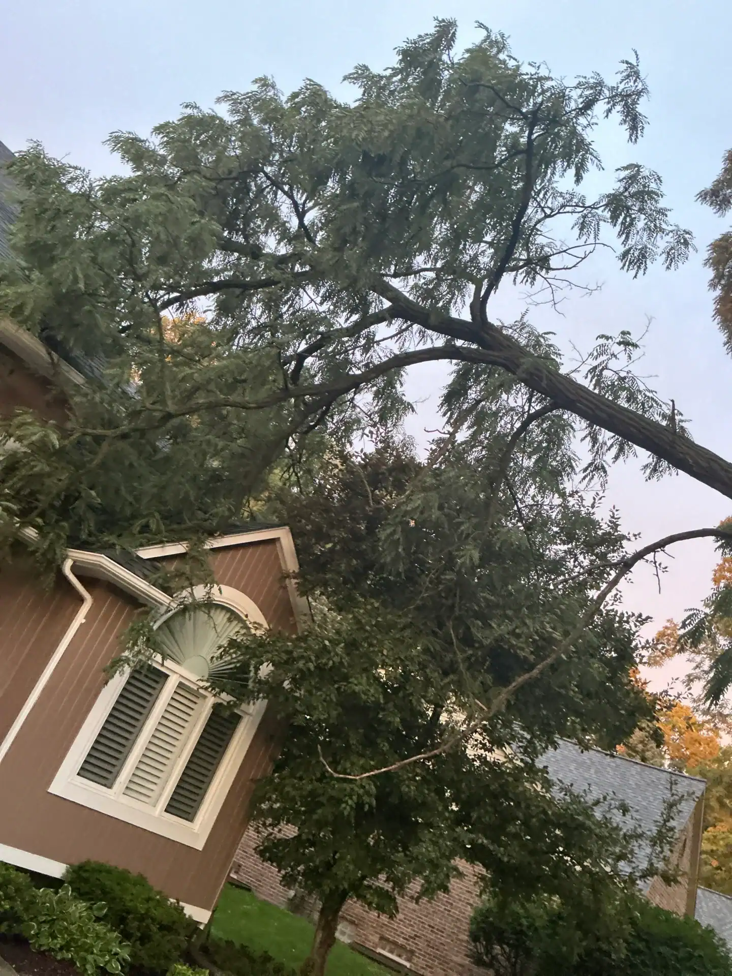 A fallen tree lies on a house roof, requiring expert removal and repairs by Tree Services Oakland, MI.