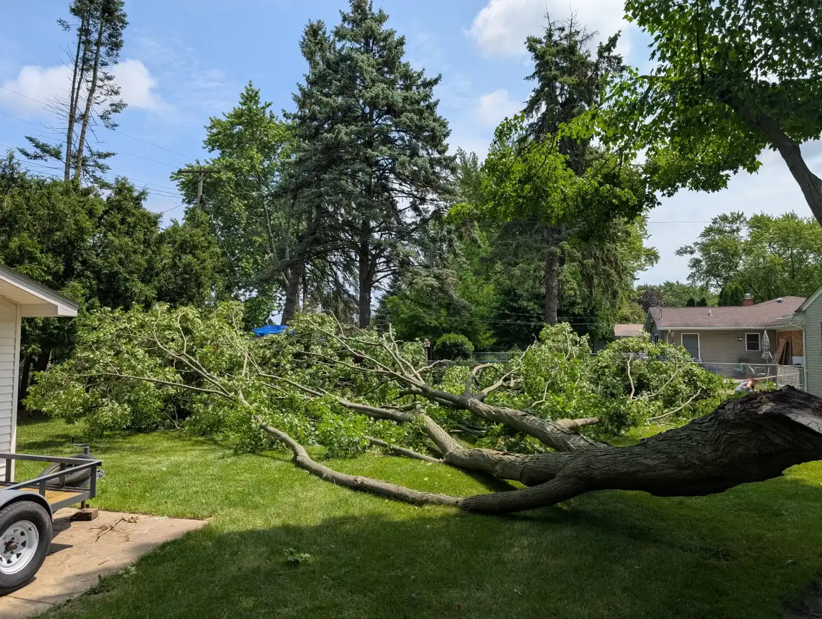 A large fallen tree covers a suburban yard, illustrating the need for Tree Services Oakland removal help.