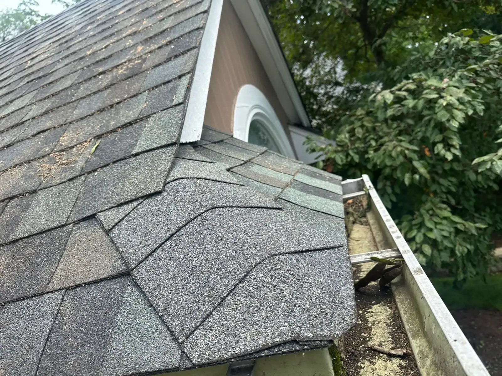 Close-up of a house roof shows asphalt shingles and a gutter full of debris needing Tree Services Oakland.