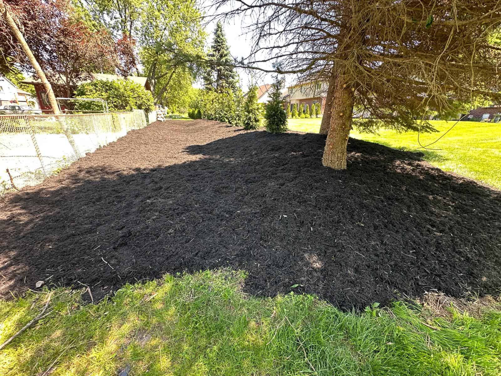 Freshly spread dark mulch covers the area where tree removal Oakland services cleared a large tree.
