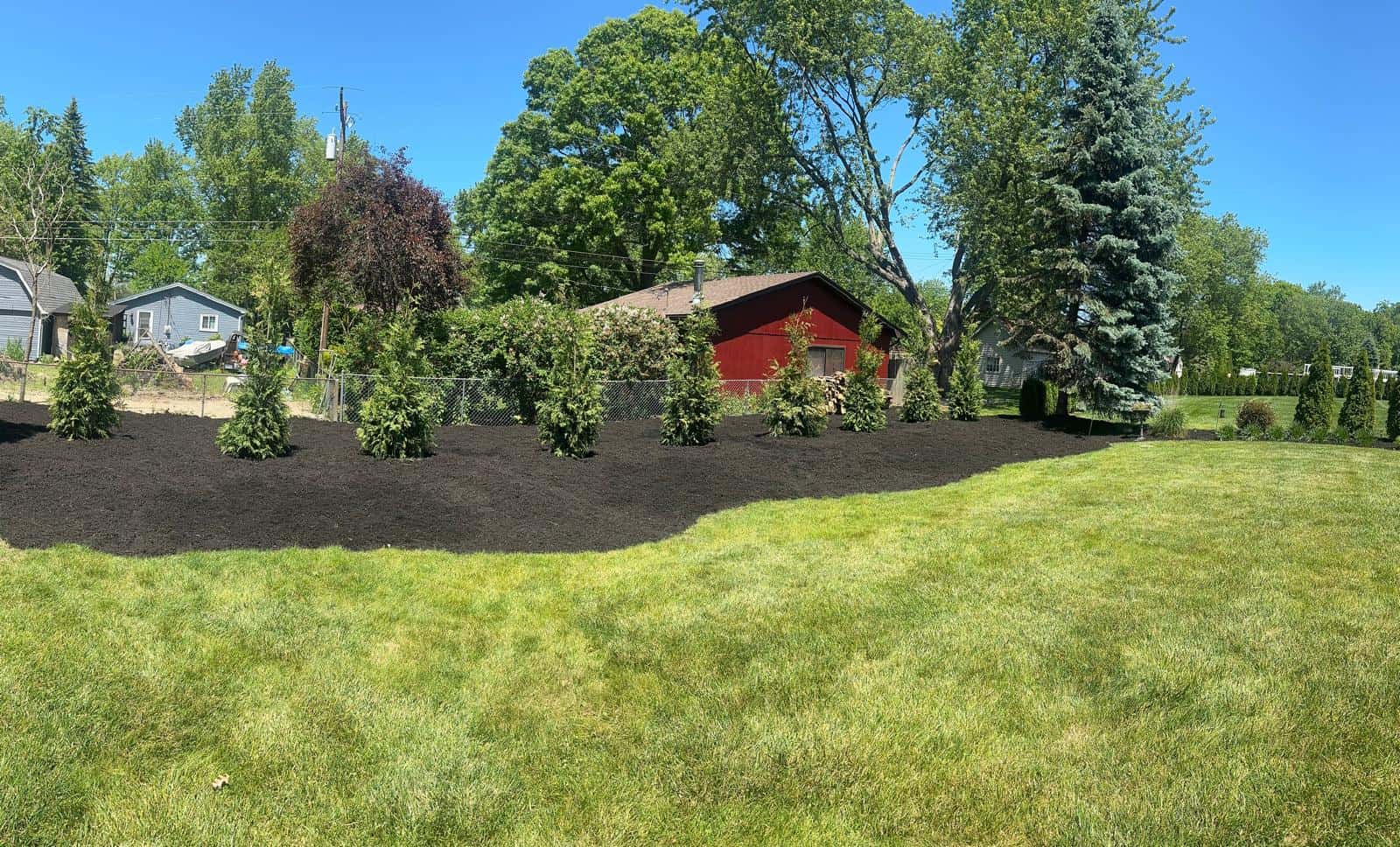 Freshly mulched garden bed with shrubs and green grass, maintained by Tree Services Oakland.
