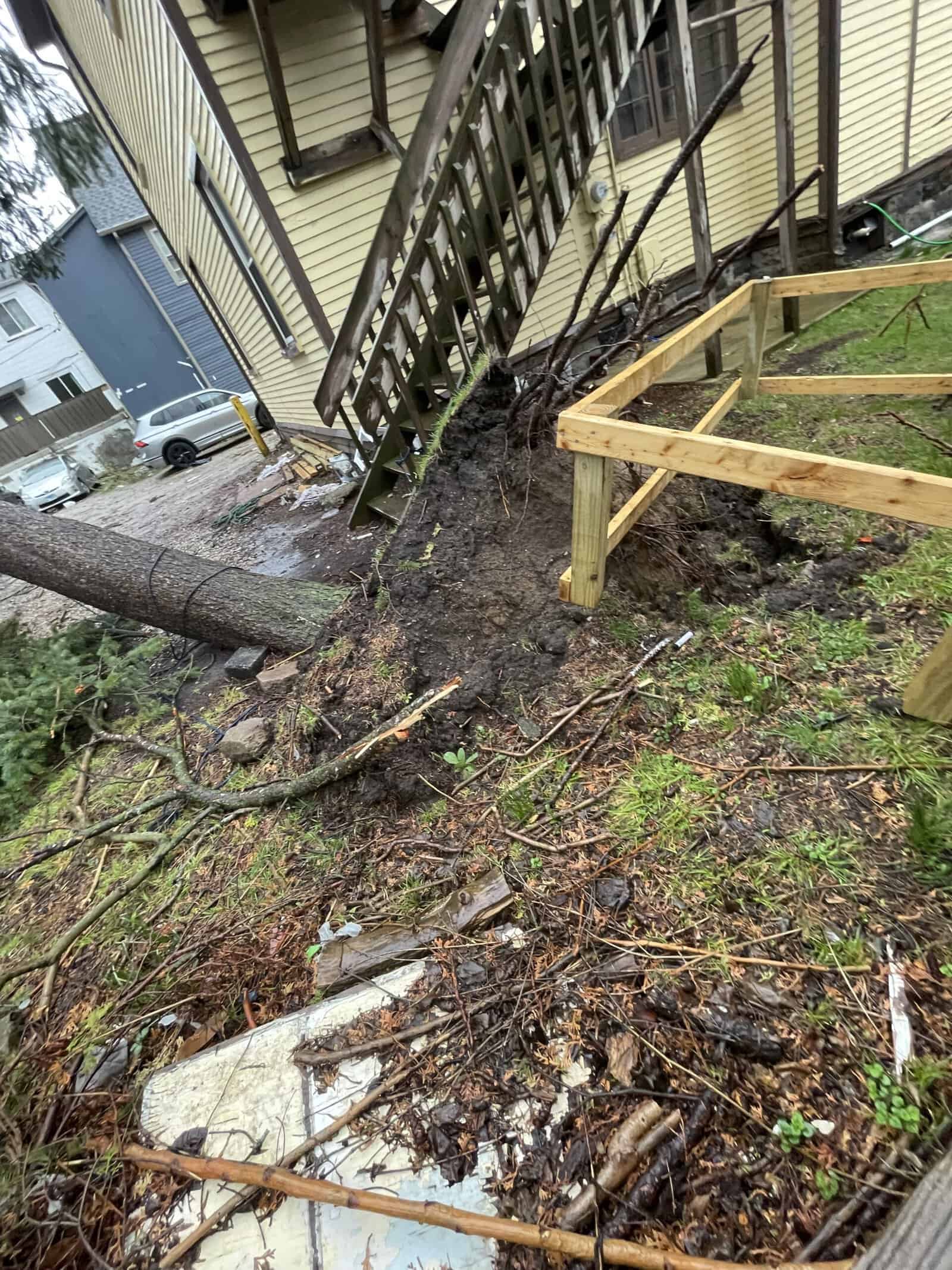 A fallen tree leans against a home&rsquo;s staircase; Tree Services Oakland can clear the debris safely.