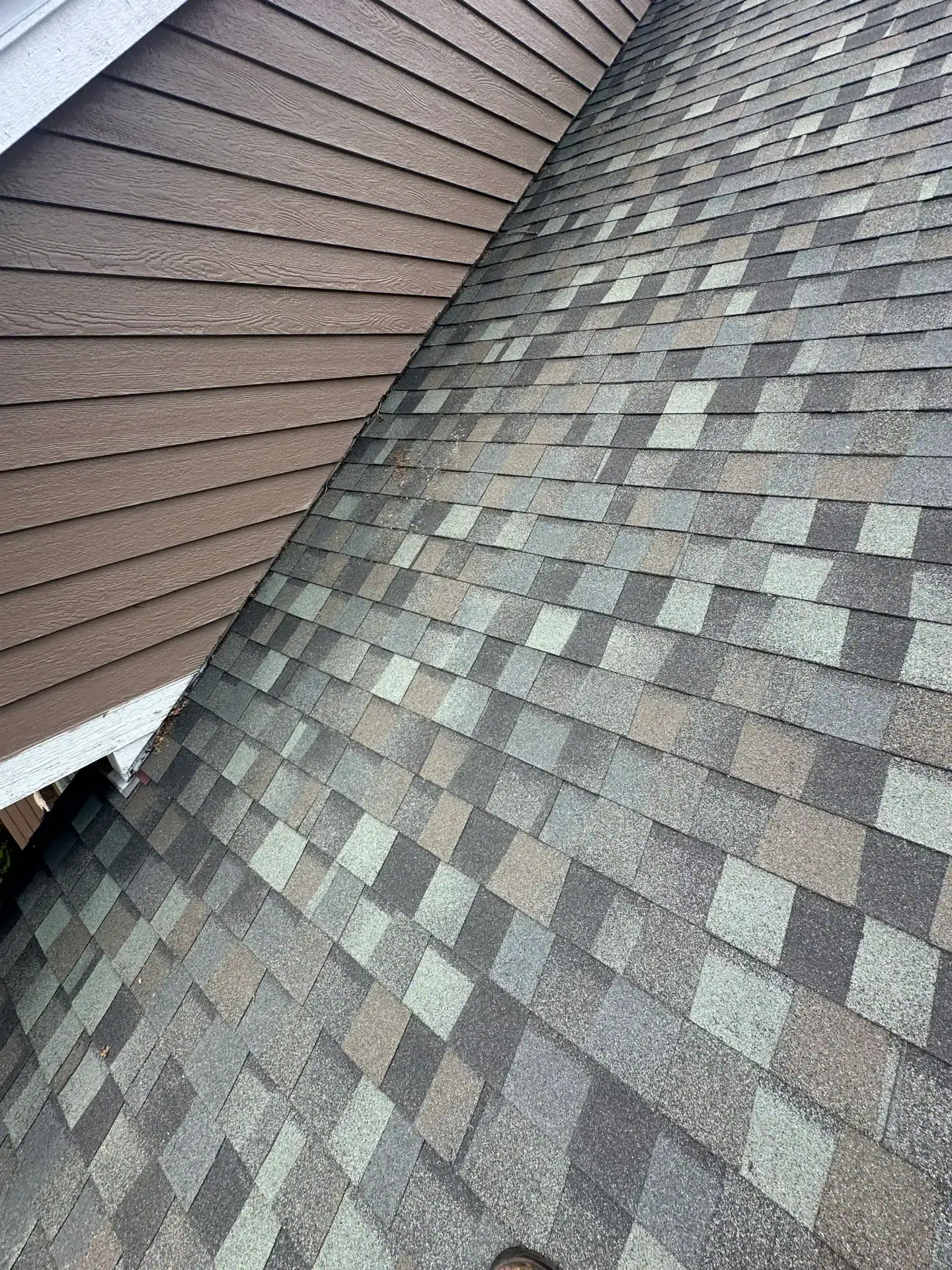 From an aerial MI view, gray and brown roof shingles meet brown siding near Tree Services Oakland.