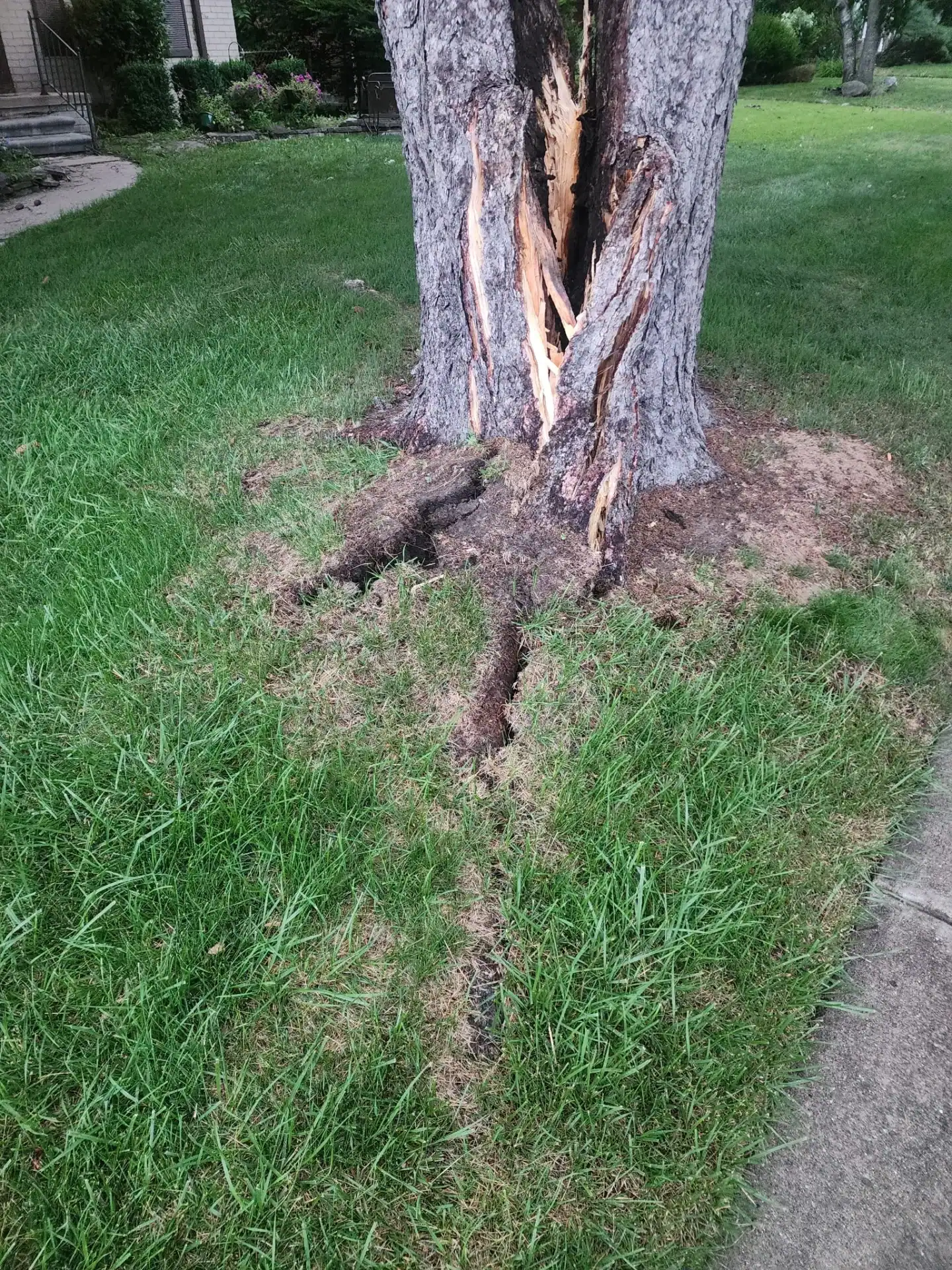 A split tree trunk shows severe damage and scorch marks on grass, highlighting need for Oakland tree services.