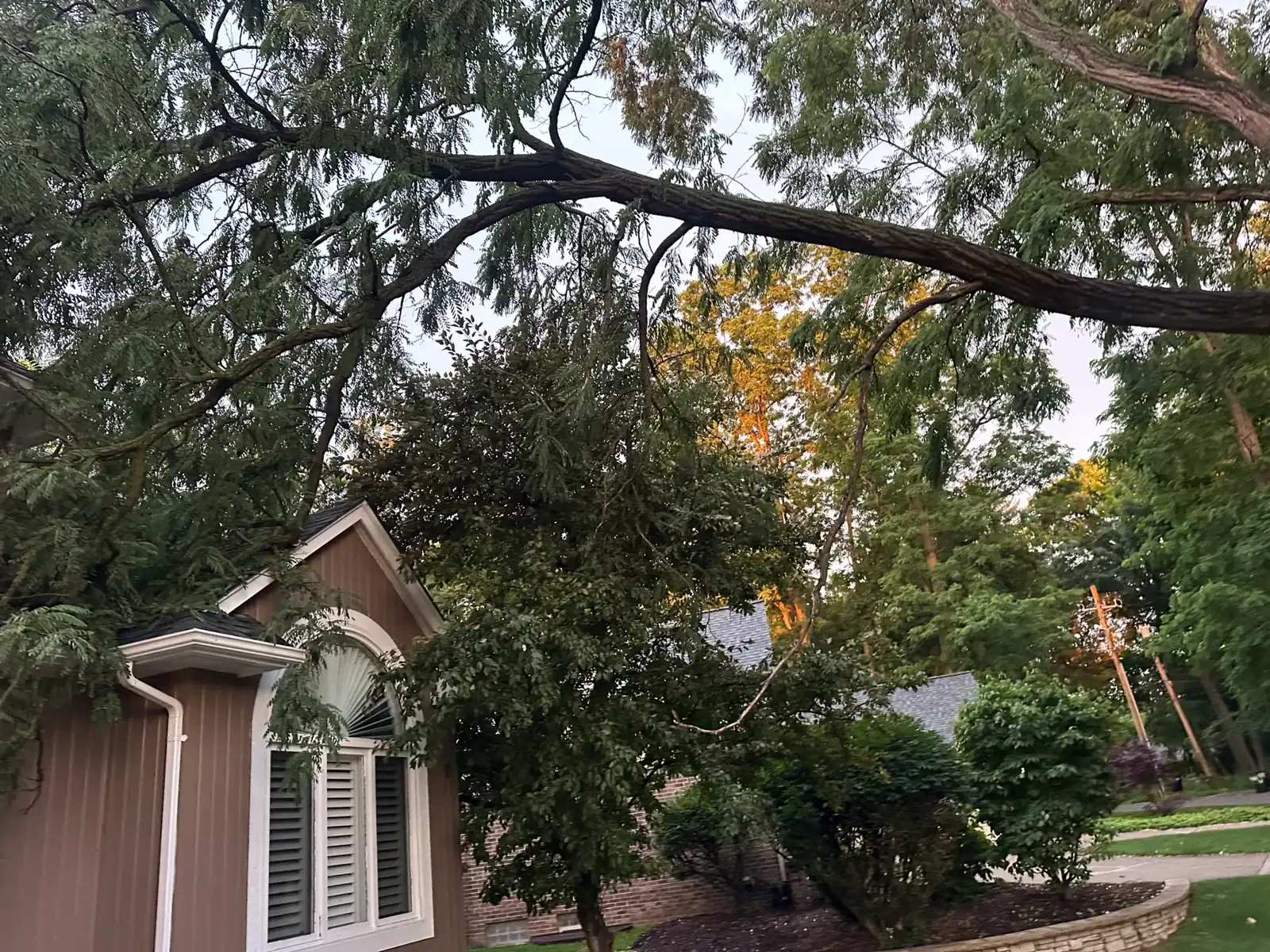 A large tree branch hangs over a house with white shutters—Tree Services Oakland can safely remove it.