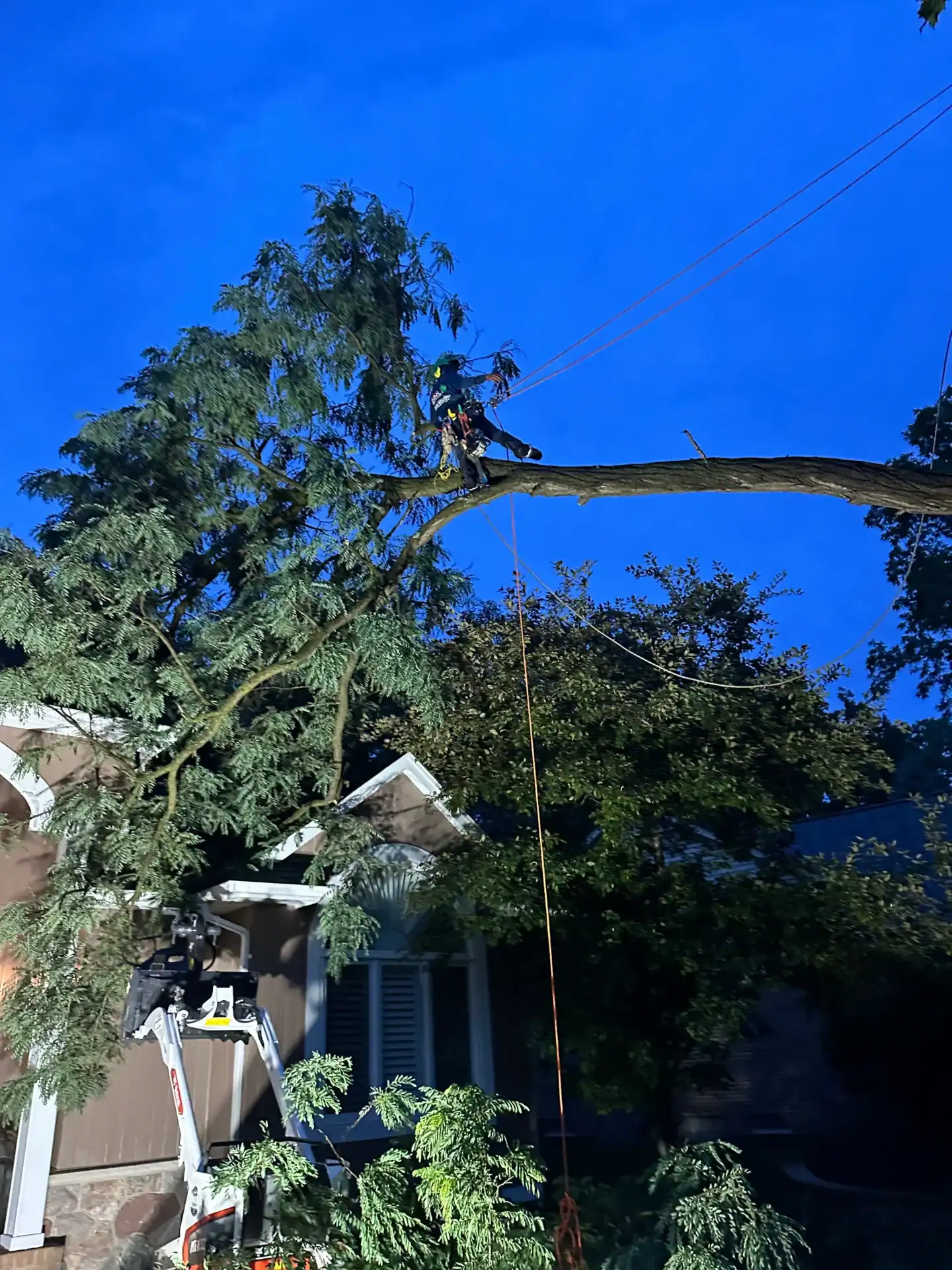 A worker wearing safety gear trims a large tree branch above a house at dusk in Oakland, MI.