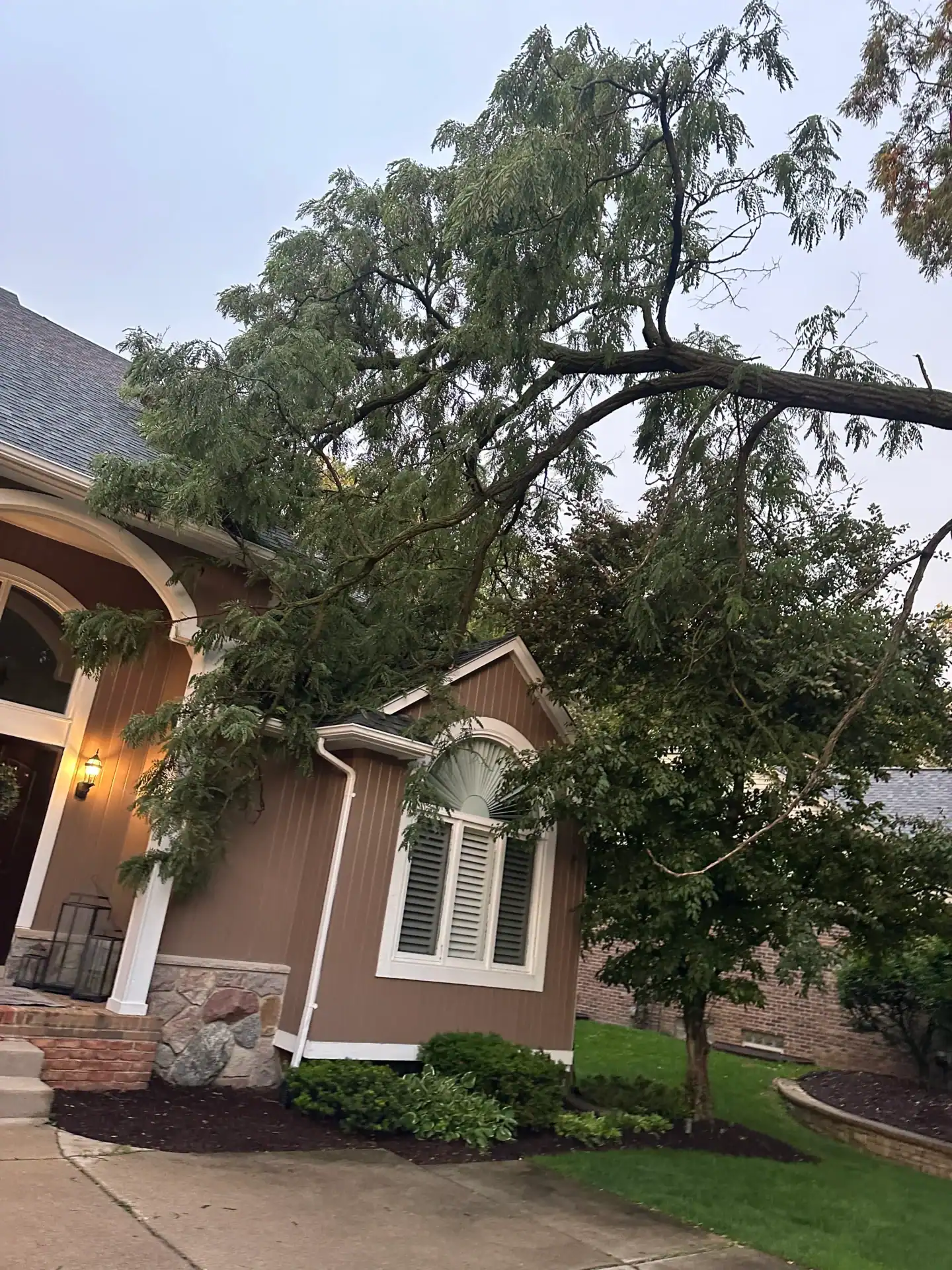 A large tree branch rests on a house roof, requiring tree removal in Oakland, MI for fast assistance.