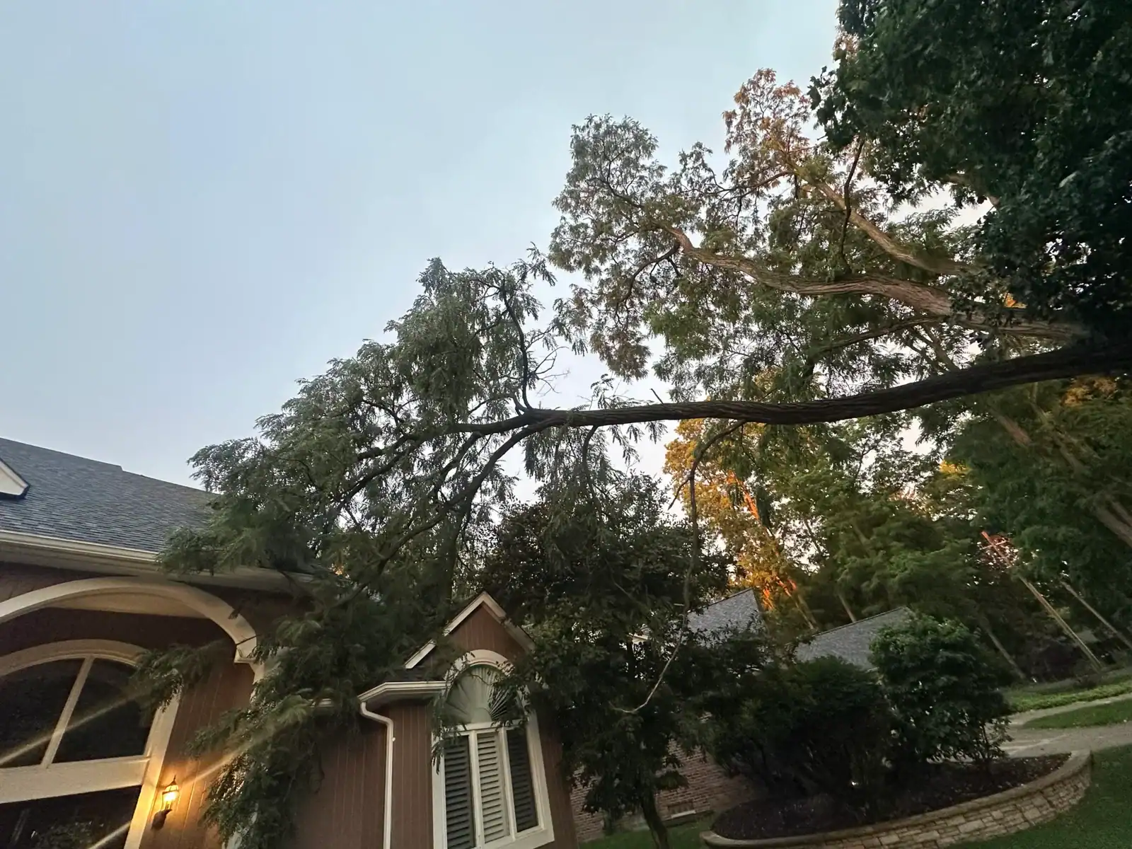 At dusk, a large tree branch rests on a roof as Tree Services Oakland prepares for safe removal.