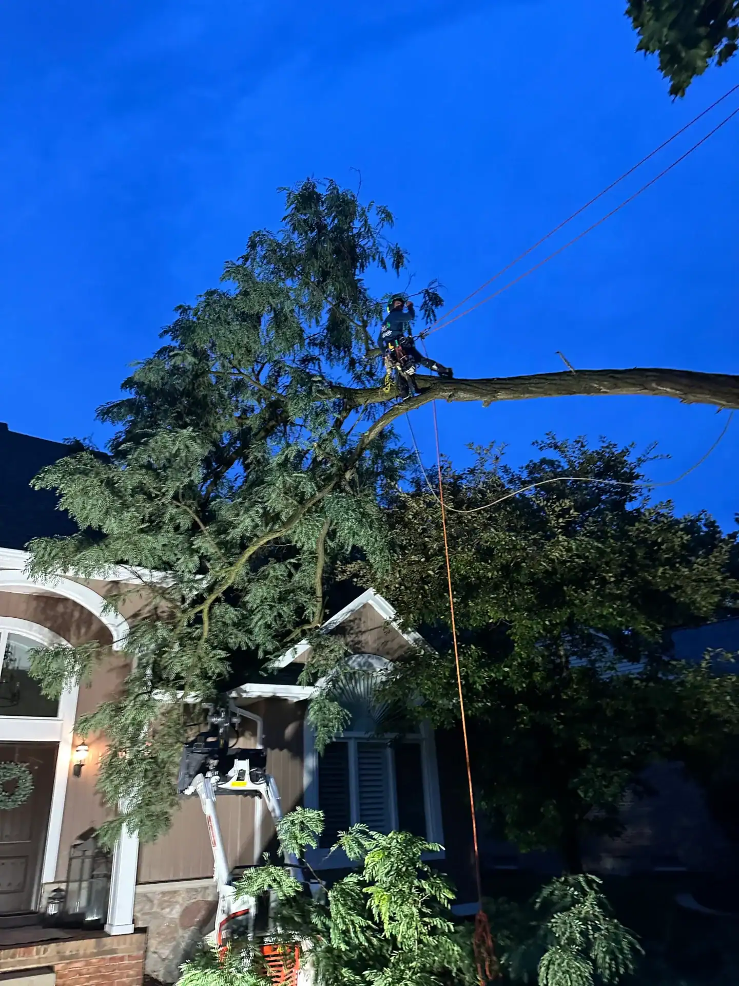 A Tree Services Oakland worker safely removes a large branch above a house at dusk using ropes.