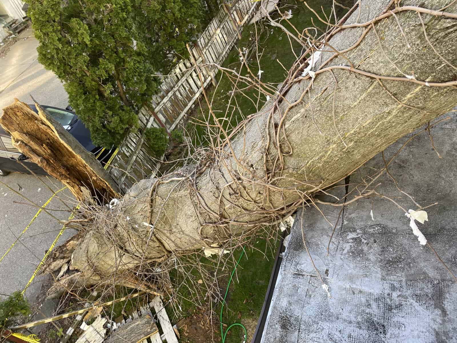 A large tree has fallen across a rooftop and needs removal by Tree Services Oakland, MI experts.