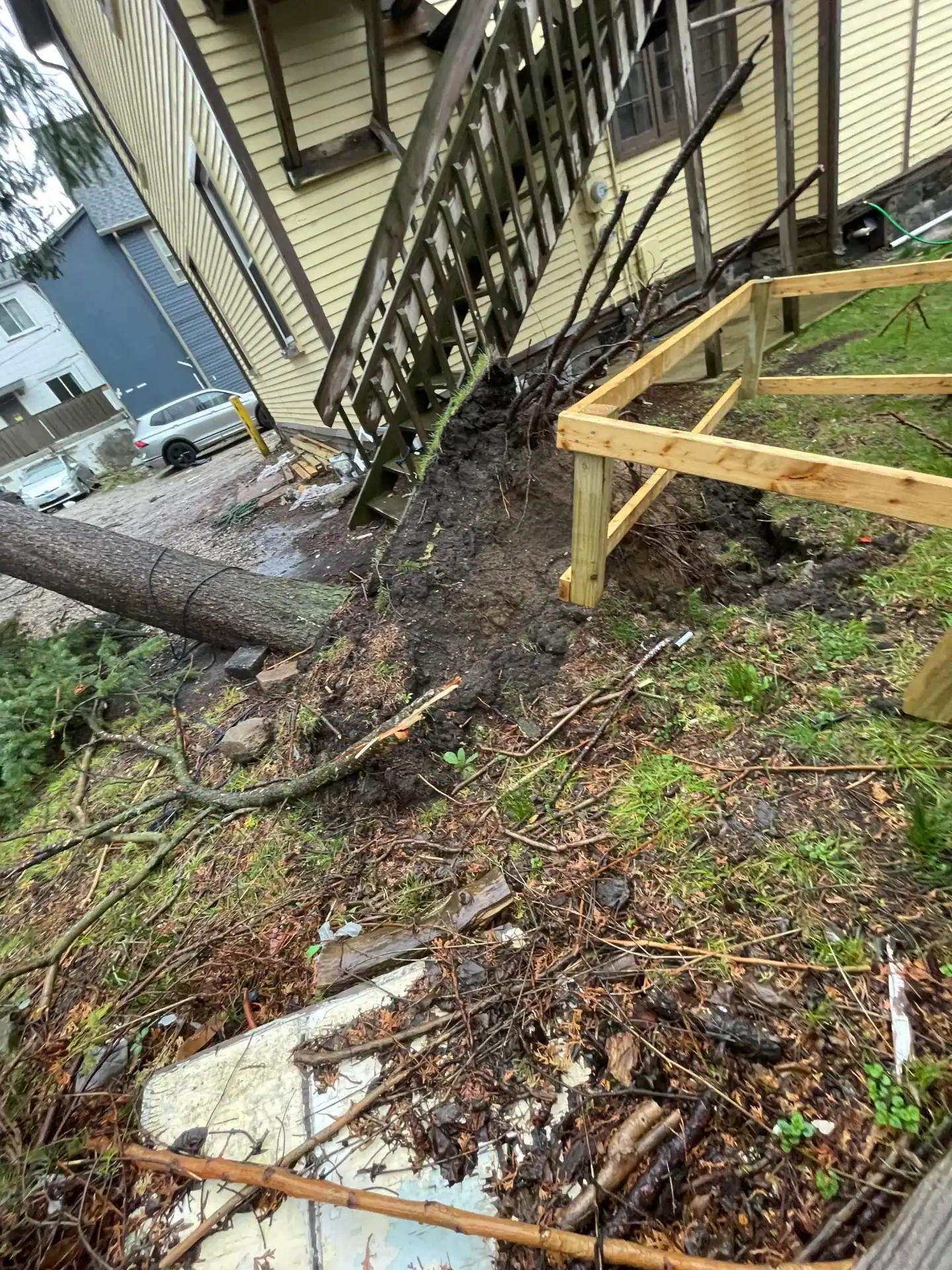 A fallen tree and debris rest against a house—Tree Services Oakland can help with cleanup and stump removal.