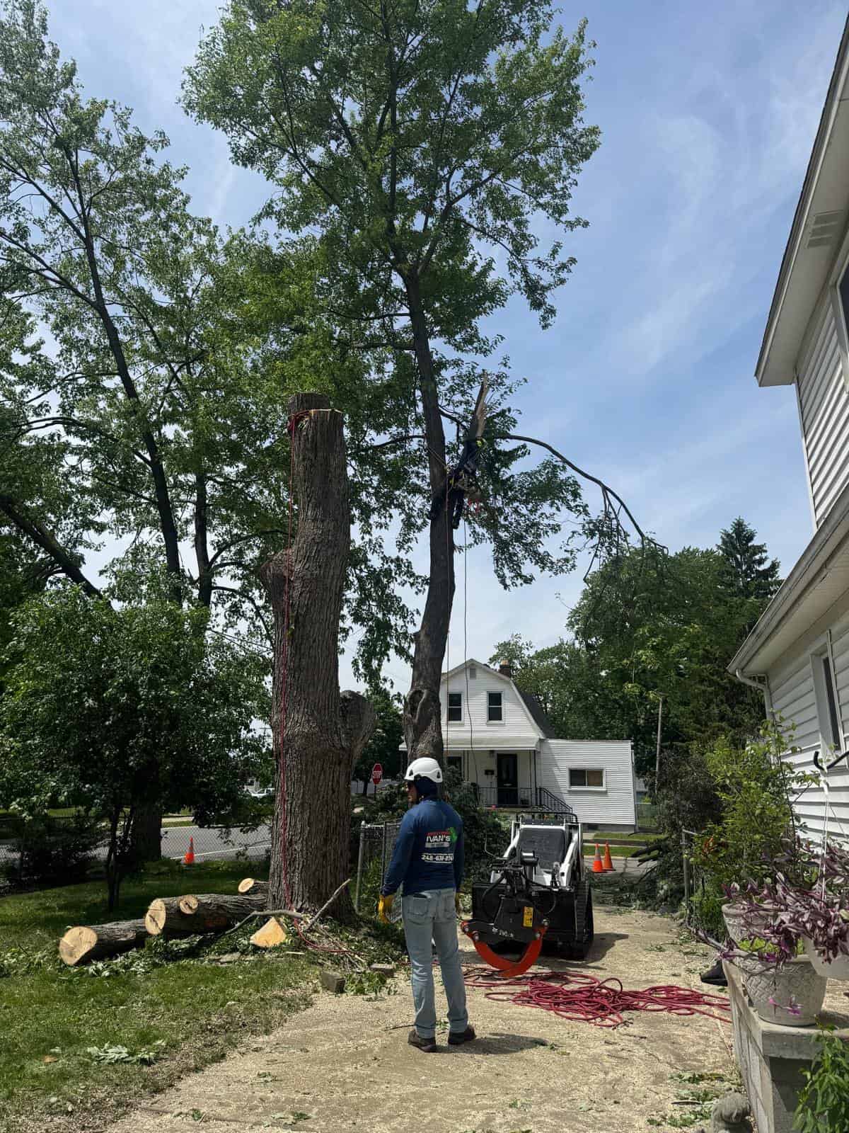 A worker in a hard hat supervises a tree removal Oakland project near a house with cut branches and equipment.