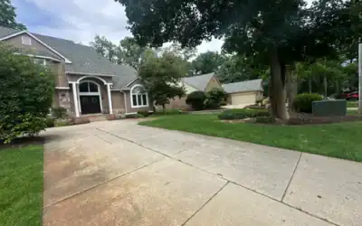 Are Michigan Trees Quietly Starving? The Case for Tree Fertilization in Oakland County