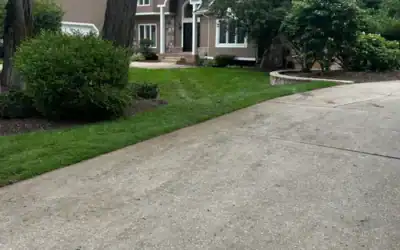 Arborist vs. Landscaper: Three Very Different Jobs Explained