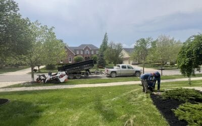 How to Choose a Tree Service in Troy, MI: Questions to Ask First