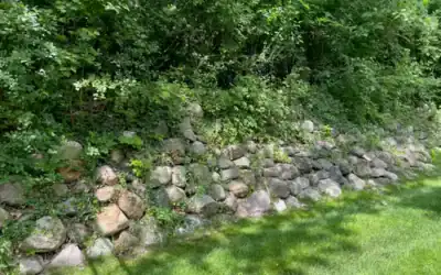Oakland County Tree Removal Permits Explained by Municipality