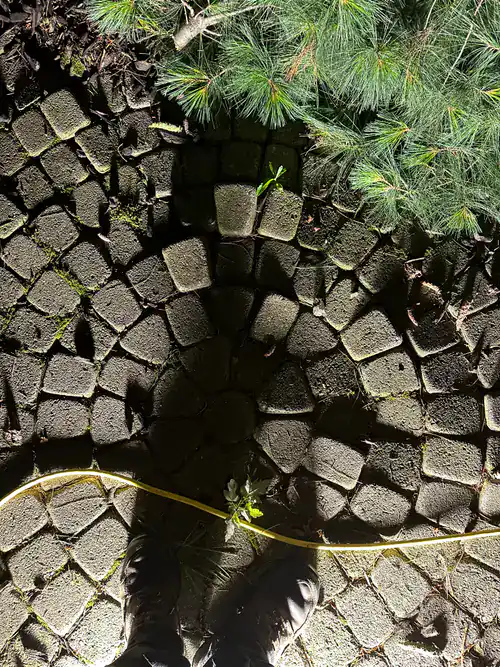 A person’s shadow appears on a cobblestone path at night beside a yellow cord and green plant nearby.