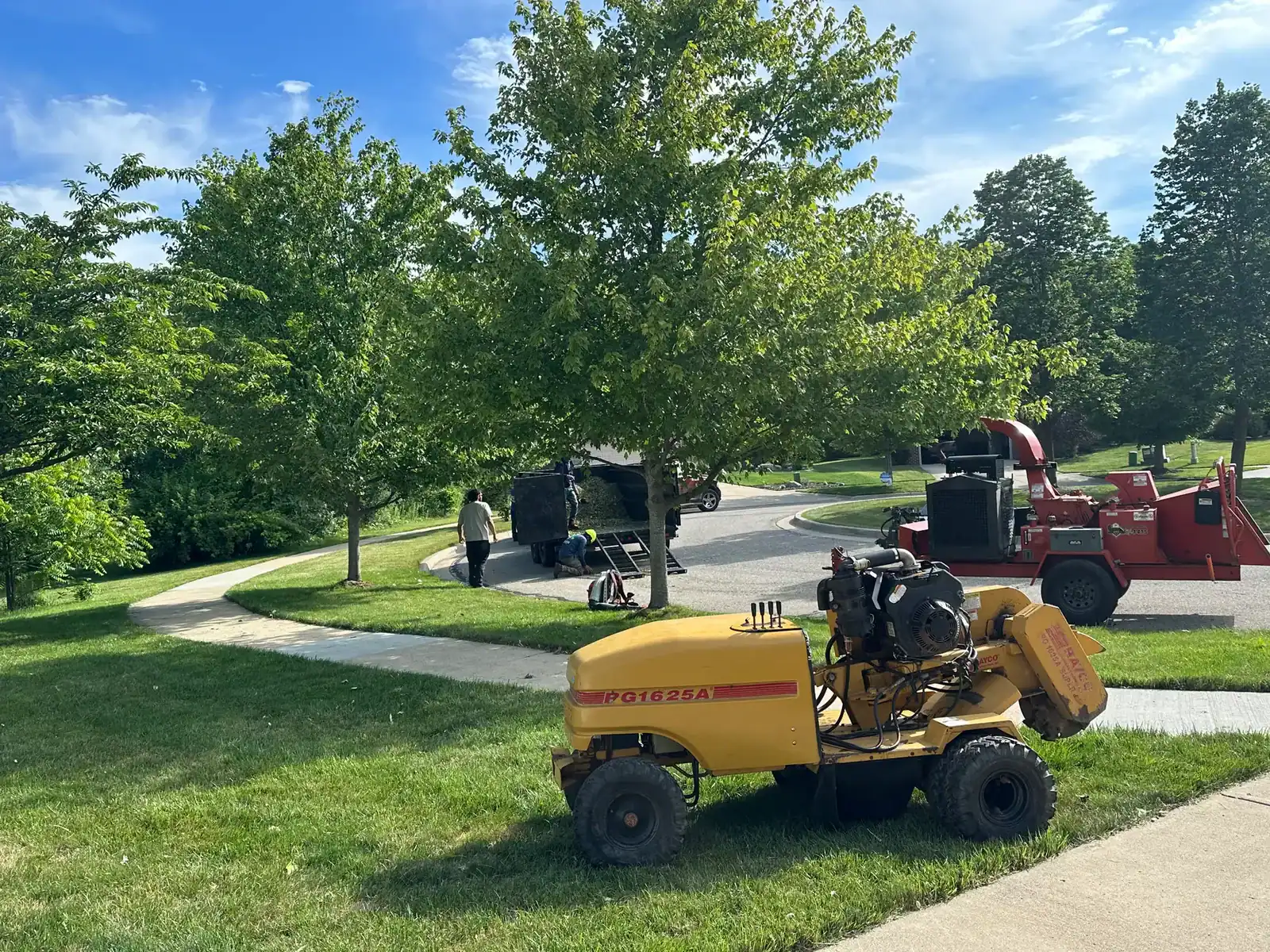 Yellow stump grinder on grass, workers and a wood chipper truck grinding stumps in Oakland, MI.