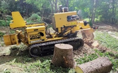 Line-Clearance Certification: What Oakland County Homeowners Need to Know About Power Line Tree Work
