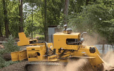 DIY vs. Professional Tree Removal: Real Cost Breakdown for Oakland County