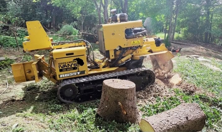 After a tree removal Stump grinder from Ivan’s Tree Services sits on grassy ground next to several tree stumps.