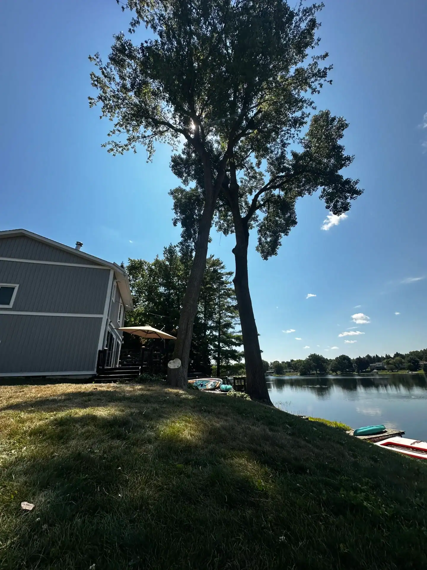 A tall tree stands by a gray house near a calm lake with canoes and clear blue sky in the background.