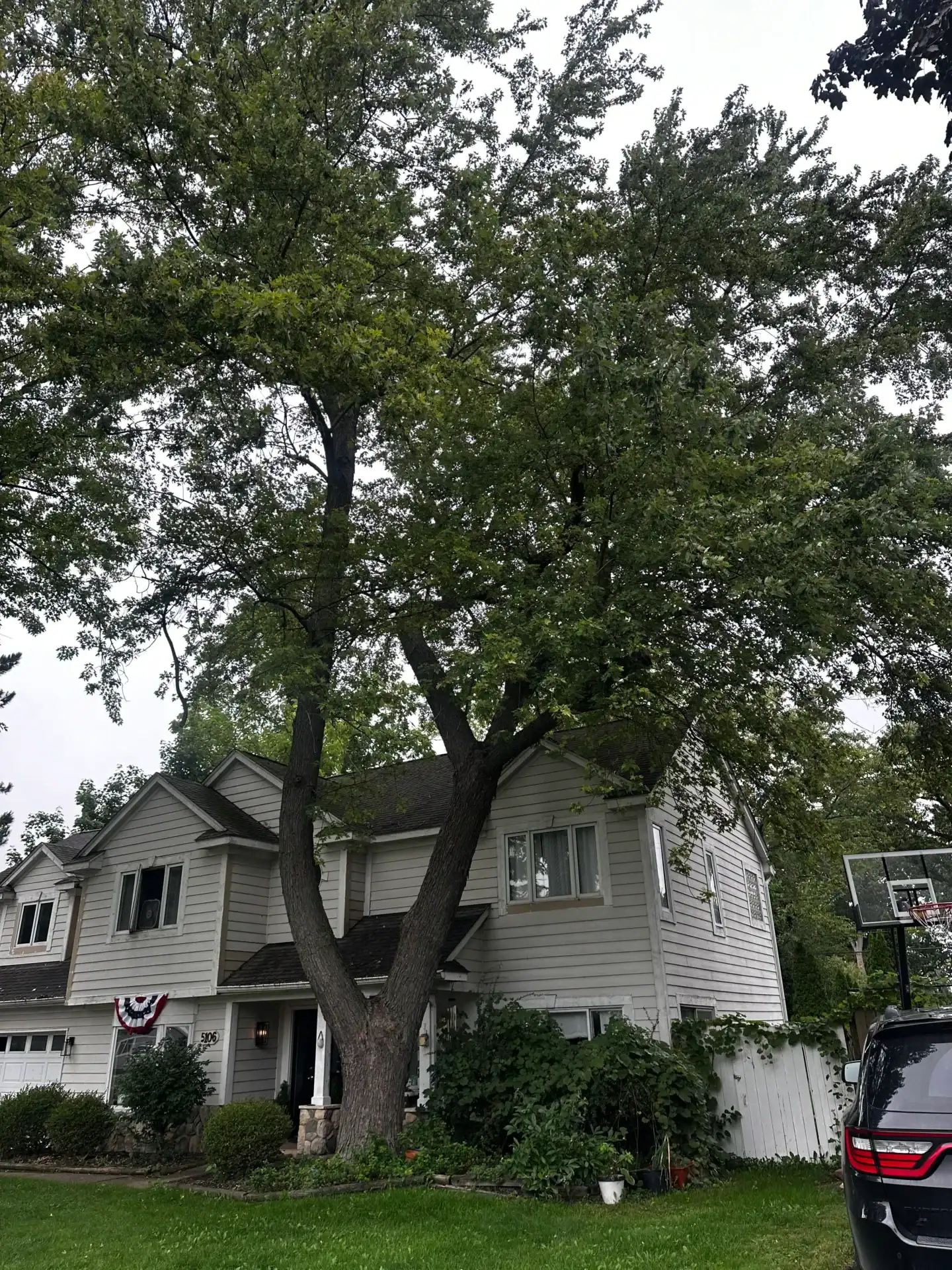 Gray two-story house with large front yard trees, green grass, and a basketball hoop on the right side.