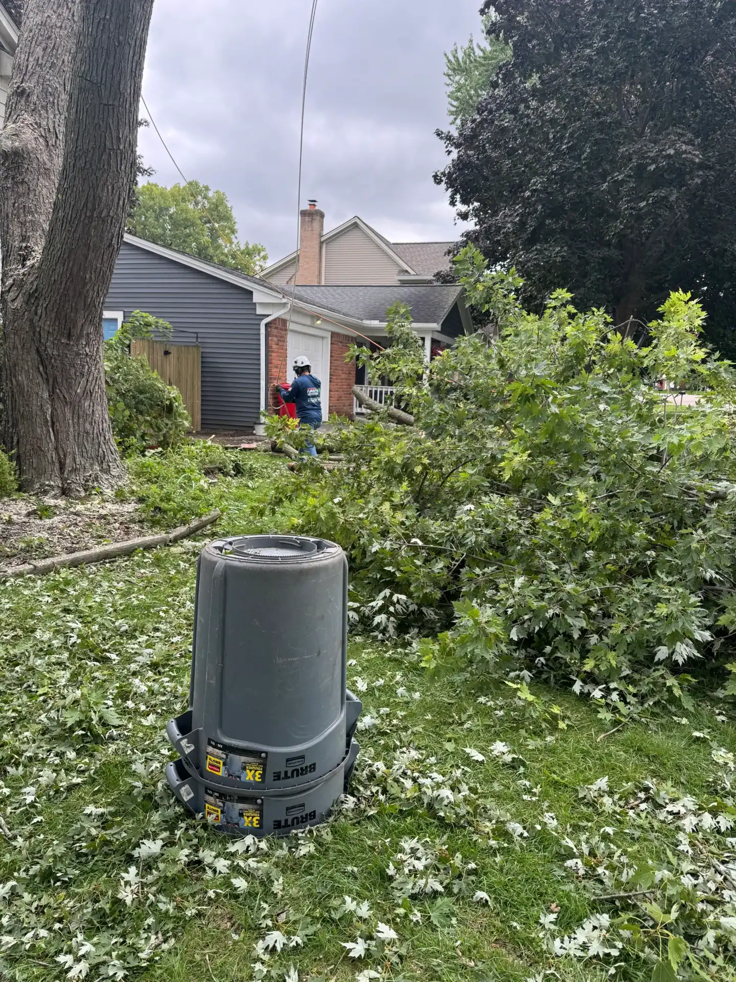 Emergency tree removal workers in safety gear clear large fallen branches from a residential yard.