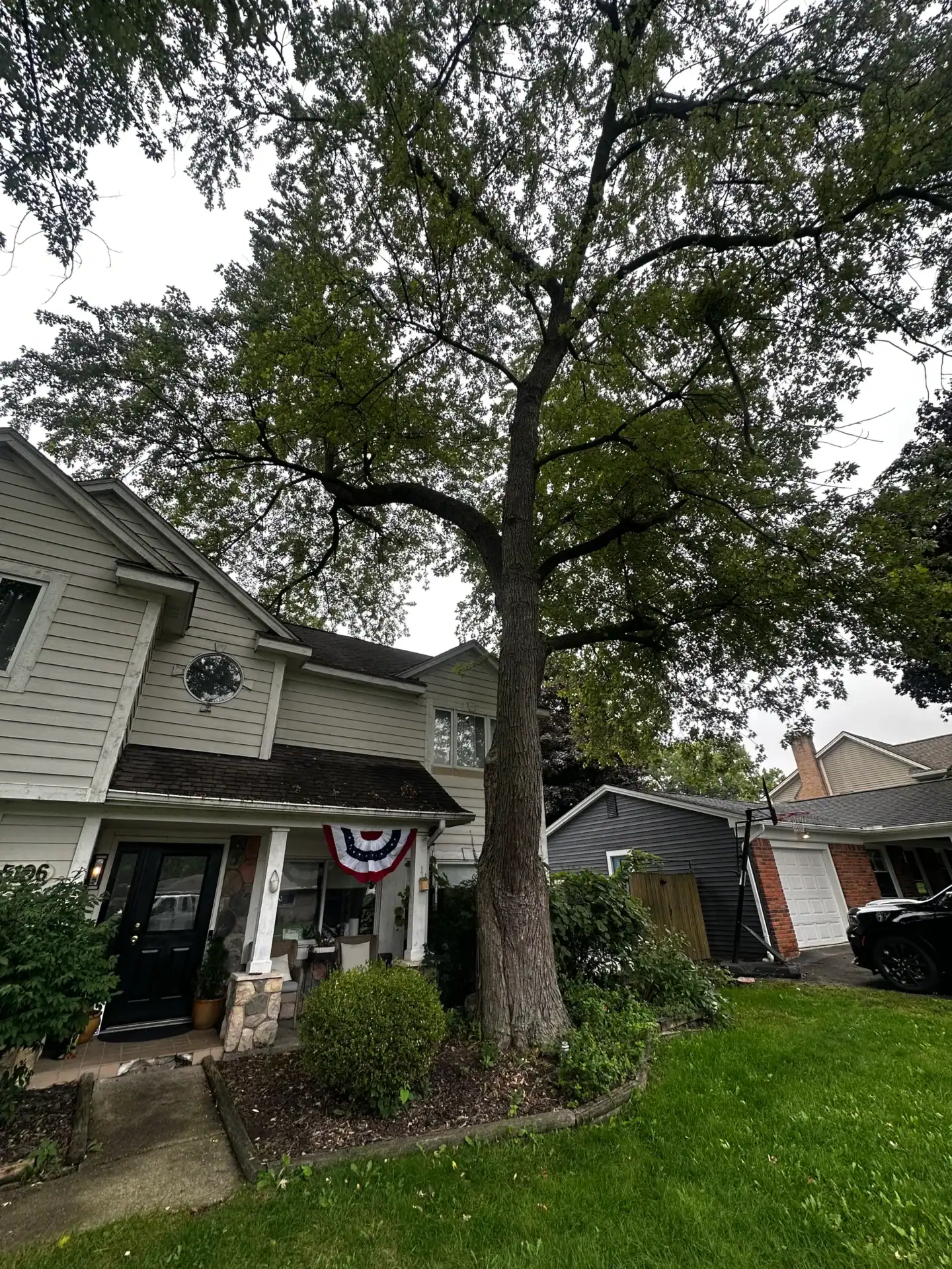A tall tree stands before a gray house with a porch and patriotic bunting on a cloudy day.