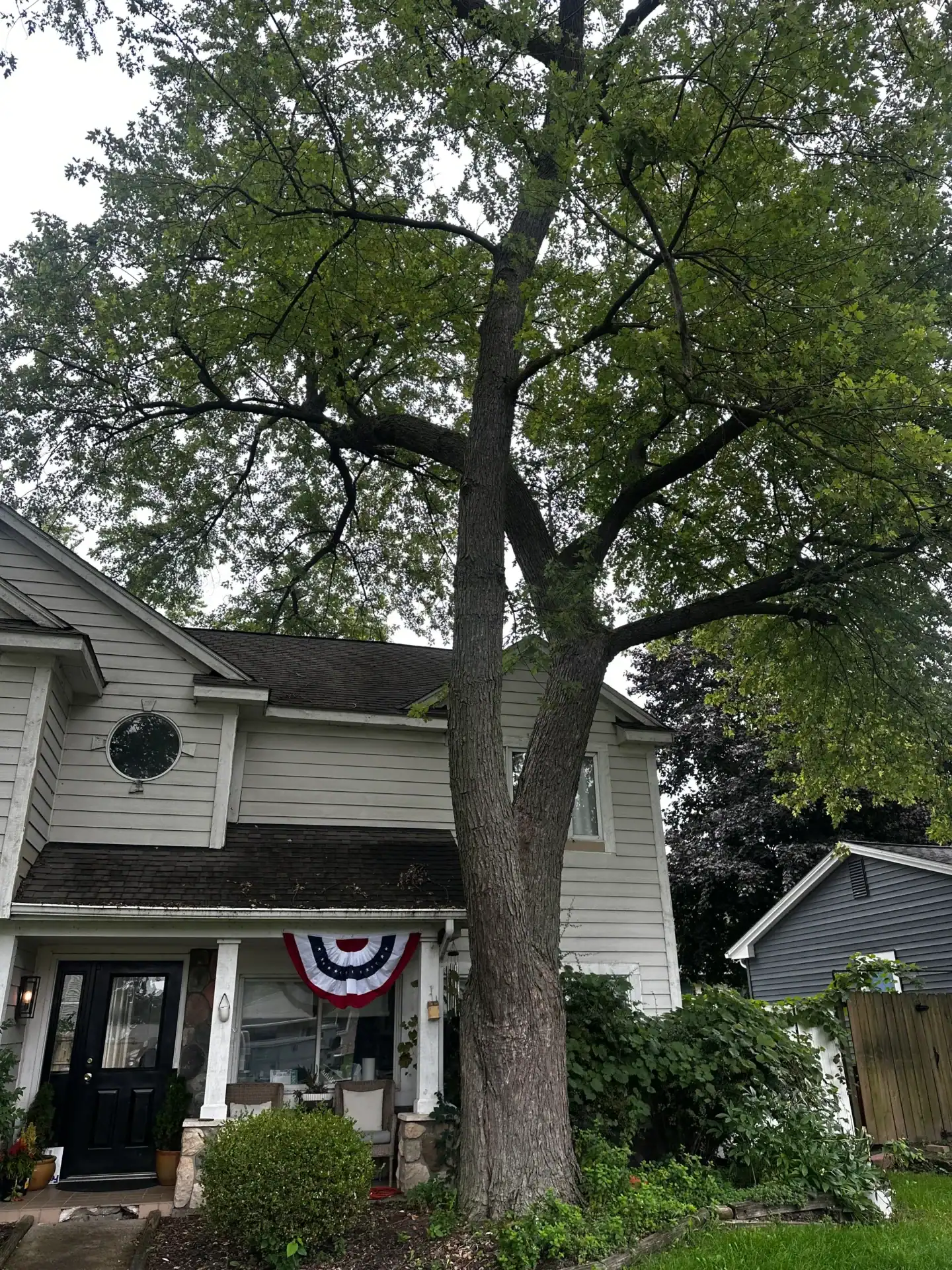 A tall tree stands in front of a white house, decorated with a red, white, and blue patriotic banner.